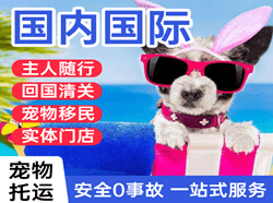 沙堤空运公司国际宠物托运 【国